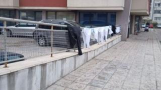Не е за вярване какво се появи до кооперация в столичния кв. "Младост" СНИМКА