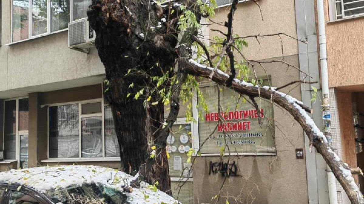 В Пловдив е като след война заради стихията СНИМКИ