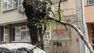 В Пловдив е като след война заради стихията СНИМКИ