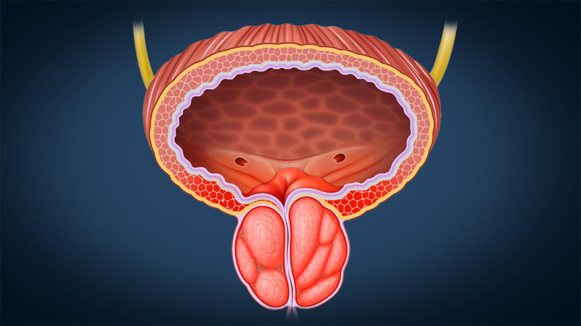 Ново реактивно гориво подкарва простатата