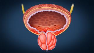 Ново реактивно гориво подкарва простатата