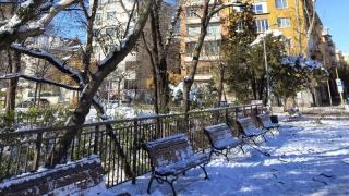 Служител преби момиченце с отрязан клон и му се подиграва в София