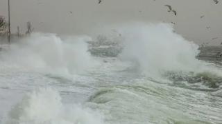 Трагедия: Черно море погълна младежи, снимали стихията от... СНИМКА