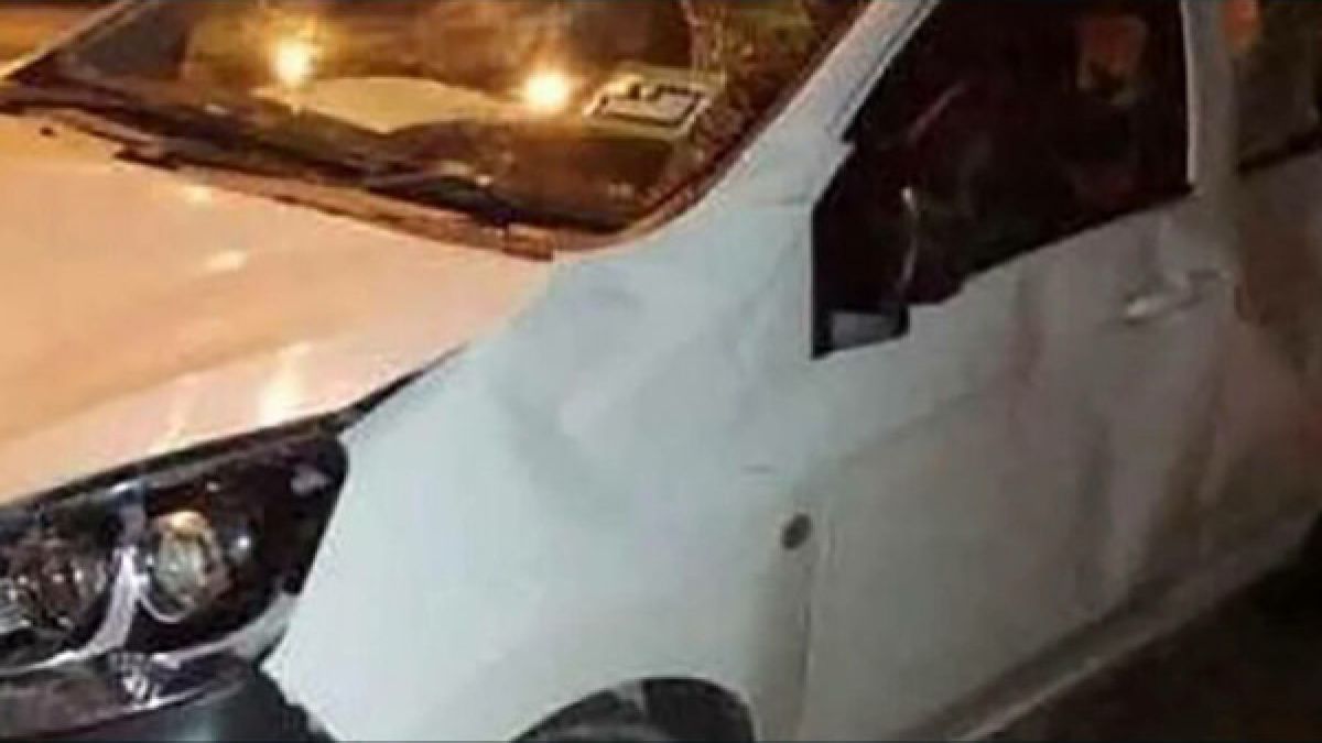 Слонове обградиха кола в Малайзия и стана страшно  