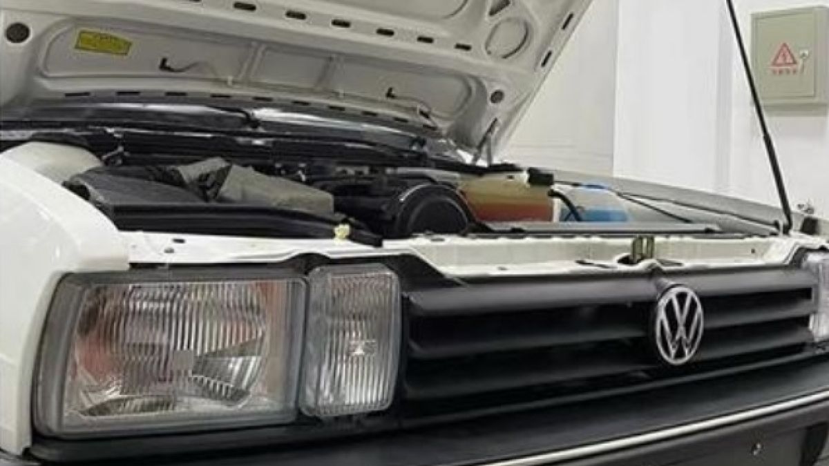 Намериха изоставен склад с нови автомобили Volkswagen СНИМКИ