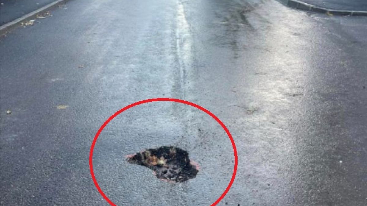 Ново инженерно чудо се появи насред улица във Варна! Всички са в шок СНИМКИ