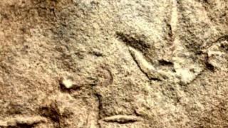 Учените в шок! Години наред се чудят от какво са оставени тези следи СНИМКА
