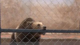 Трагедия се размина на косъм в Стара Загора ВИДЕО