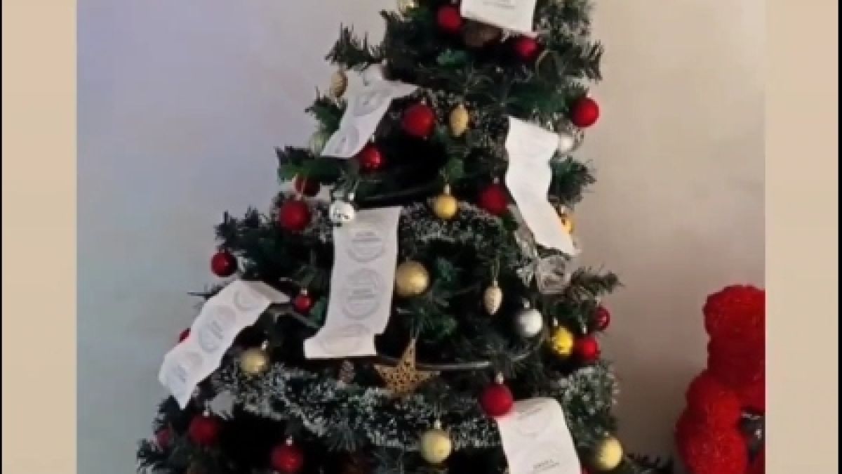 Джигит с БМВ изненада как украси коледната си елха в Пловдив СНИМКИ