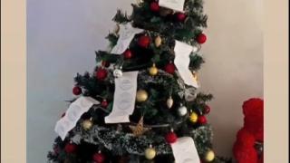 Джигит с БМВ изненада как украси коледната си елха в Пловдив СНИМКИ