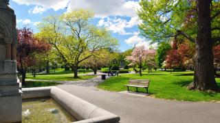 Най-старият парк в Щатите, който се посещава от 7 млн. туристи годишно