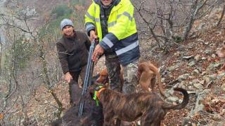 Опитен авджия повали четвърт тон звяр в Родопите СНИМКА