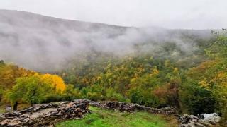 Местност на един хвърлей от София продължава да изненадва учените