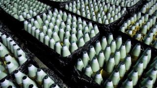 Германия обяви колко снаряда ще предаде на Украйна през 2024 година