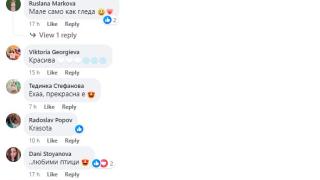 Хит в мрежата! Крайпътна камера неочаквано засне... ВИДЕО