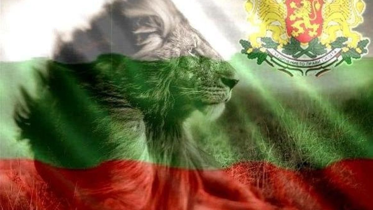Цяла Италия говори за тези българи, нашенците показаха как се прави ВИДЕО 