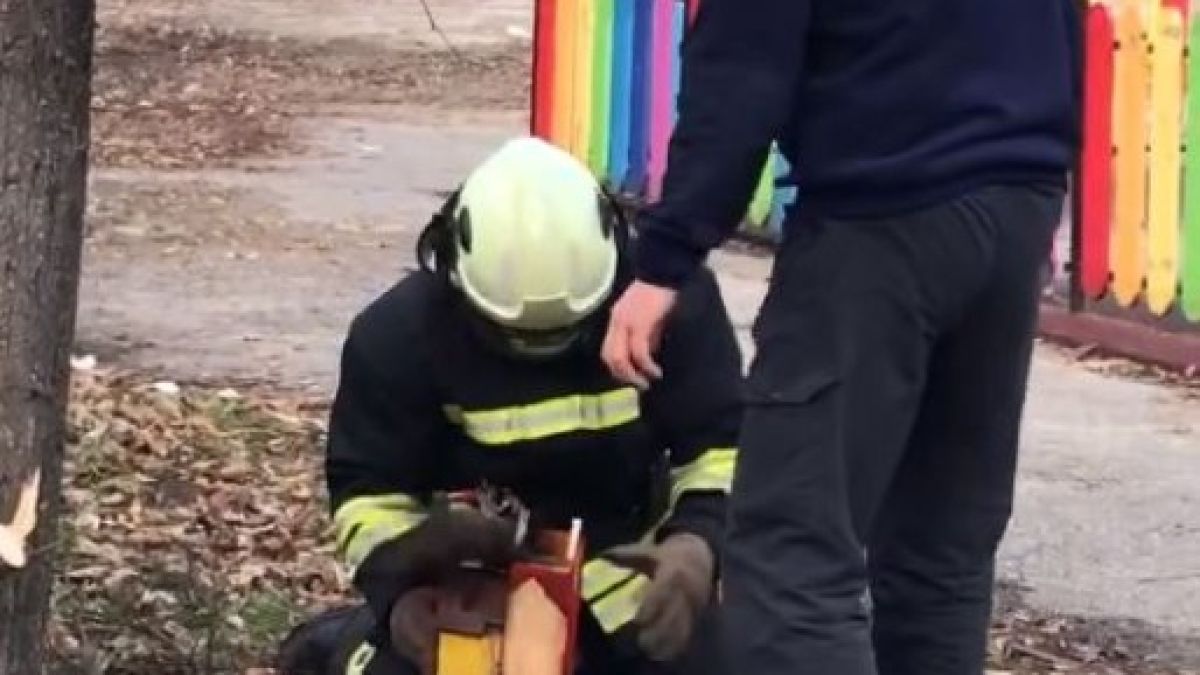 Цяла София говори за тези пожарникари, не е за вярване какво направиха в парка  ВИДЕО