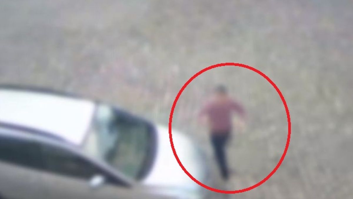 Щом видят Пламен софийските джигити изтръпват от ужас, ето защо ВИДЕО