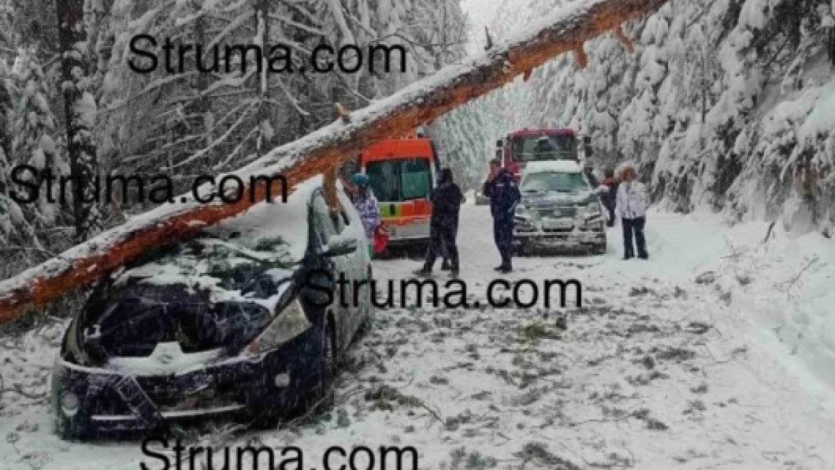 Извънредно! Кошмар на Бъндеришка поляна, ето какво се случва СНИМКИ
