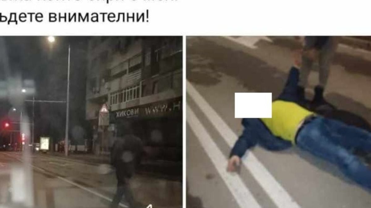 Живи трупове лежат по пътищата на Варна, шофьорите се видяха в чудо 