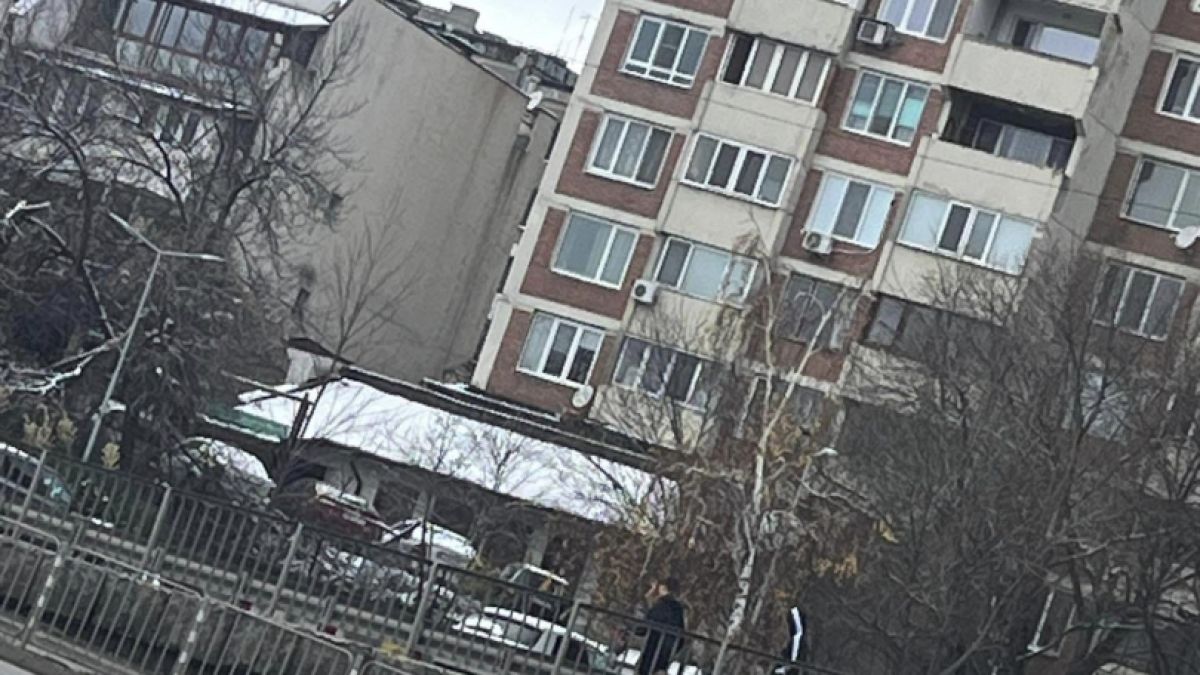 Терор в София! Куп шофьори пропищяха от дивотията на тези пишлигари СНИМКИ