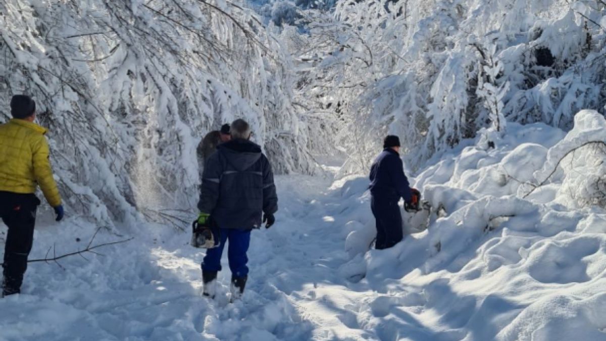 Дебел сняг и паднали дървета парализираха села - ето кой ги спаси СНИМКИ