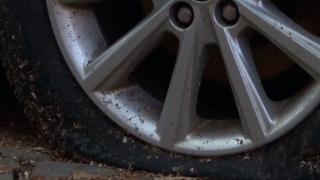 Живеещите край Женския пазар си скубят косите, кошмарът им се повтори 