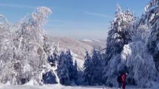 Десетки нашенци платиха за Нова година в хижа в планината, но не очакваха да им се случи това ВИДЕО
