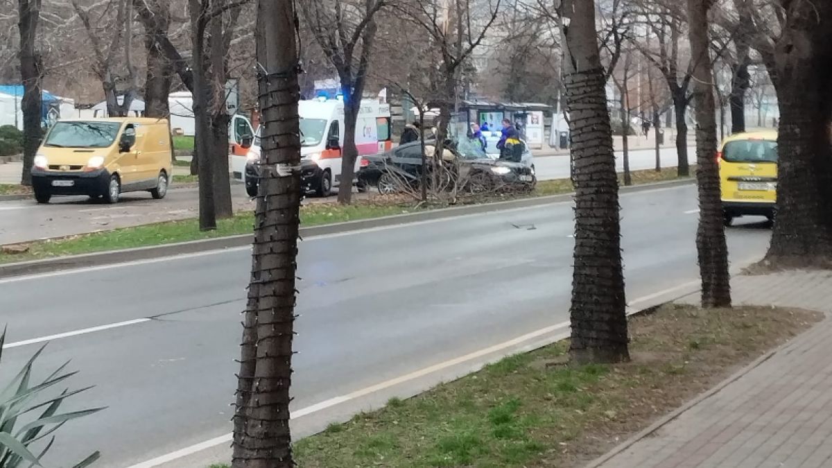 Скандално! Виновникът за мелето на пъпа на Варна се оказа... 