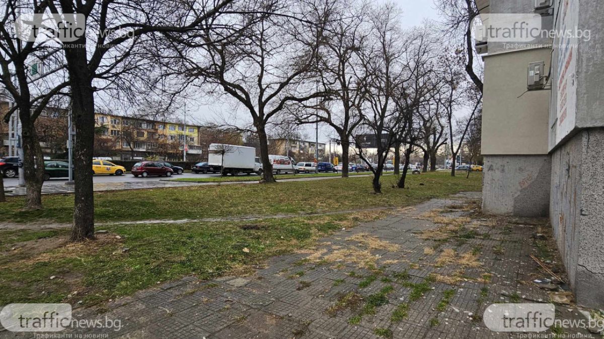 Гневен пловдивчанин алармира за голямо безобразие на ключов булевард СНИМКИ 