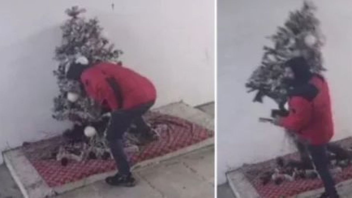 Известни крими типове са виновни за гнусната кражба, разтърсила Перник ВИДЕО