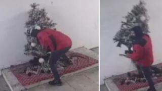 Известни крими типове са виновни за гнусната кражба, разтърсила Перник ВИДЕО
