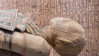 6 исторически загадки, които учените разгадаха през 2023 г. - с една на успяха 
