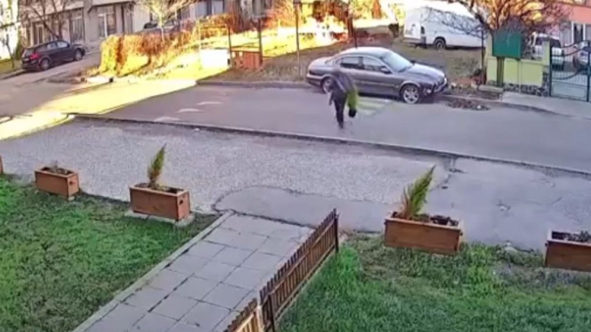Жена се приближи до саксия в жк "Люлин" и стори нещо много грозно ВИДЕО