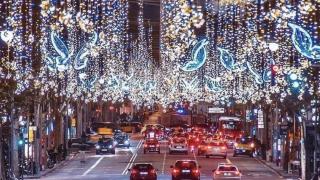 Такова чудо в столицата софиянци не вярваха, че ще видят тази година СНИМКА