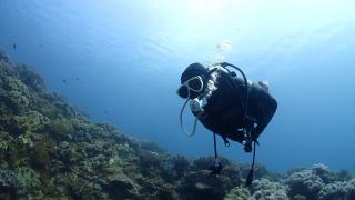 Водолази се гмурнаха в морето край Варна, не е истина какво извадиха СНИМКИ