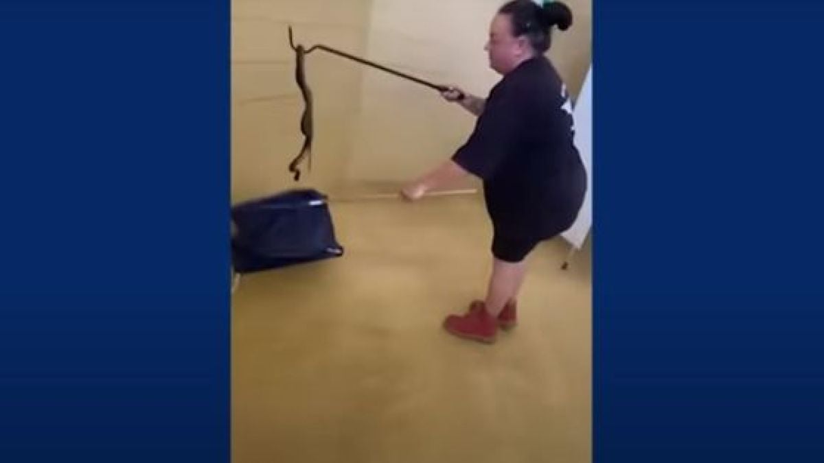 Жена влезе в тоалетна и намери ужаса вътре, какво чудовище напипа? ВИДЕО 