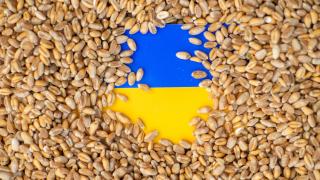 България и още 4 държави с извънреден ход за украинското зърно