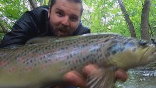 Майстор на градския риболов: Къде в Южния парк има пъстърви ВИДЕО