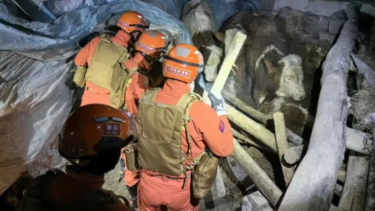 Ново силно земетресение в района между Китай и Киргизстан 