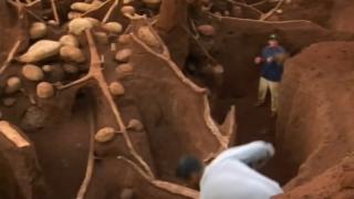 Учени откриха нещо удивително в изоставен мравуняк ВИДЕО