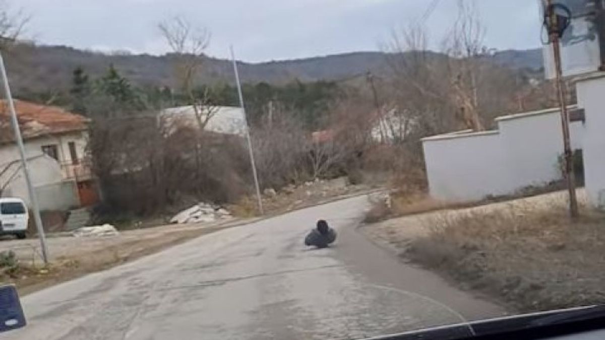 Шофьори се чудят и маят що за возило използва този мъж край Варненско ВИДЕО