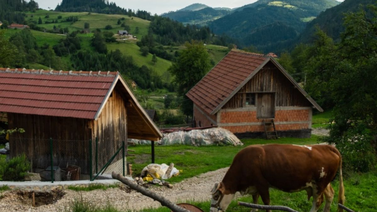 Мирослав продава къща от 70 кв.м и земя за малка сума СНИМКИ