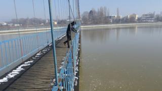 Масов мор в този БГ район: Там мрат като мухи, а причините са зловещи 