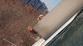 Ужас за семейство с бебе! Мъж хвърля пиратки и изпражнения в терасата им СНИМКИ