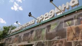 Софийският зоопарк получи екзотични попълния, наричат го заек, но не е СНИМКИ