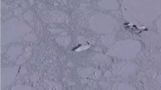 Откриха мистериозен „125 метров леден кораб“ чрез Google Earth СНИМКИ