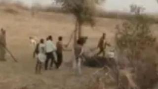 Разярена камила отхапа главата на собственика си, застигна я жестоко отмъщение ВИДЕО 18+