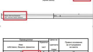 Защо жена на плевенски кримигерой стана икона на жълтопаветниците?