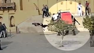 ВИДЕО запечата как разярен слон хвърли с хобота туристка на земята 
